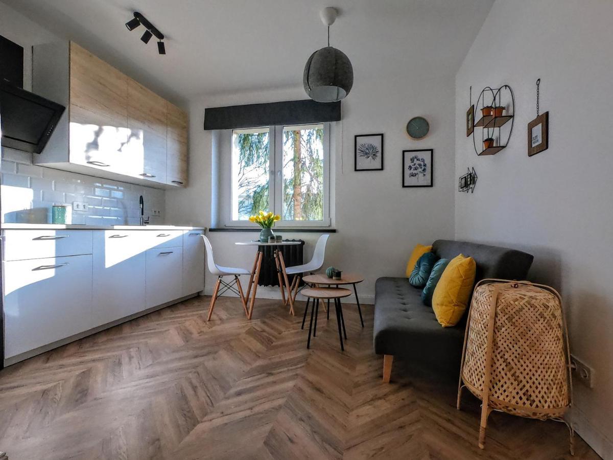 Przytulny Apartament Przy Sokolskiej - 550 Metrow Od Spodka คาโตวีตเซ ภายนอก รูปภาพ